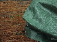 2015-08-16_13-56-14.jpg / 200x150