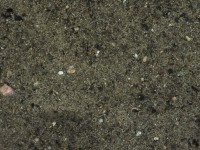 2015-08-16_14-17-11.jpg / 200x150