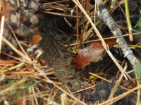 2015-08-16_14-25-36.jpg / 200x150