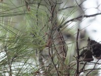 2015-08-16_15-26-07.jpg / 200x150