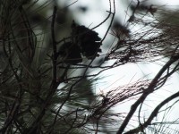 2015-08-16_15-26-16.jpg / 200x150