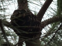 2015-08-16_15-29-52.jpg / 200x150