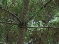 2015-08-17_12-56-28.jpg / 200x150