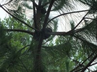 2015-08-17_12-56-37.jpg / 200x150