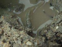 2015-08-17_16-11-51.jpg / 200x150