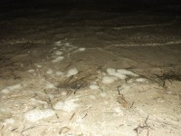 2015-08-17_22-26-55.jpg / 200x150